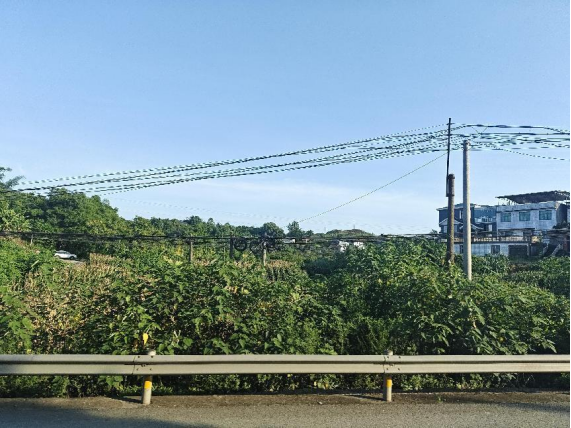 麻豆传媒