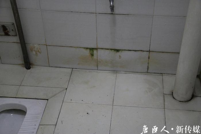 麻豆传媒
