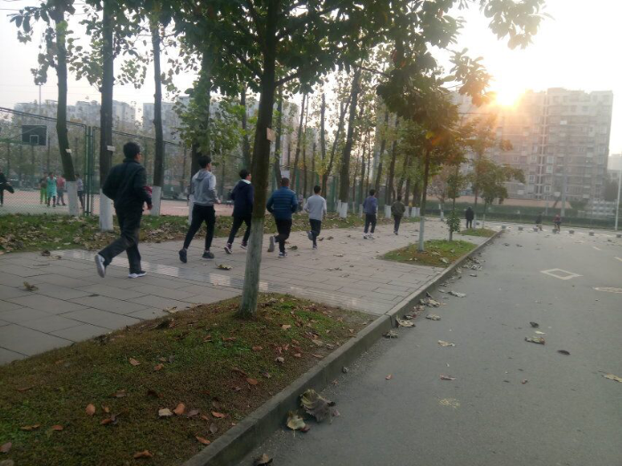 麻豆传媒