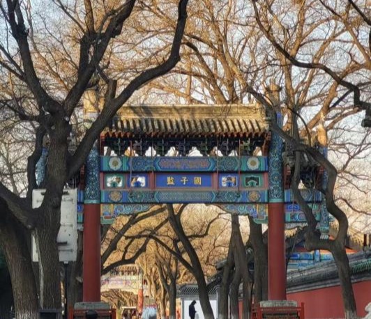 麻豆传媒