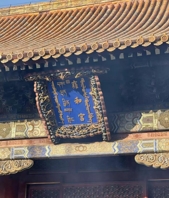 麻豆传媒