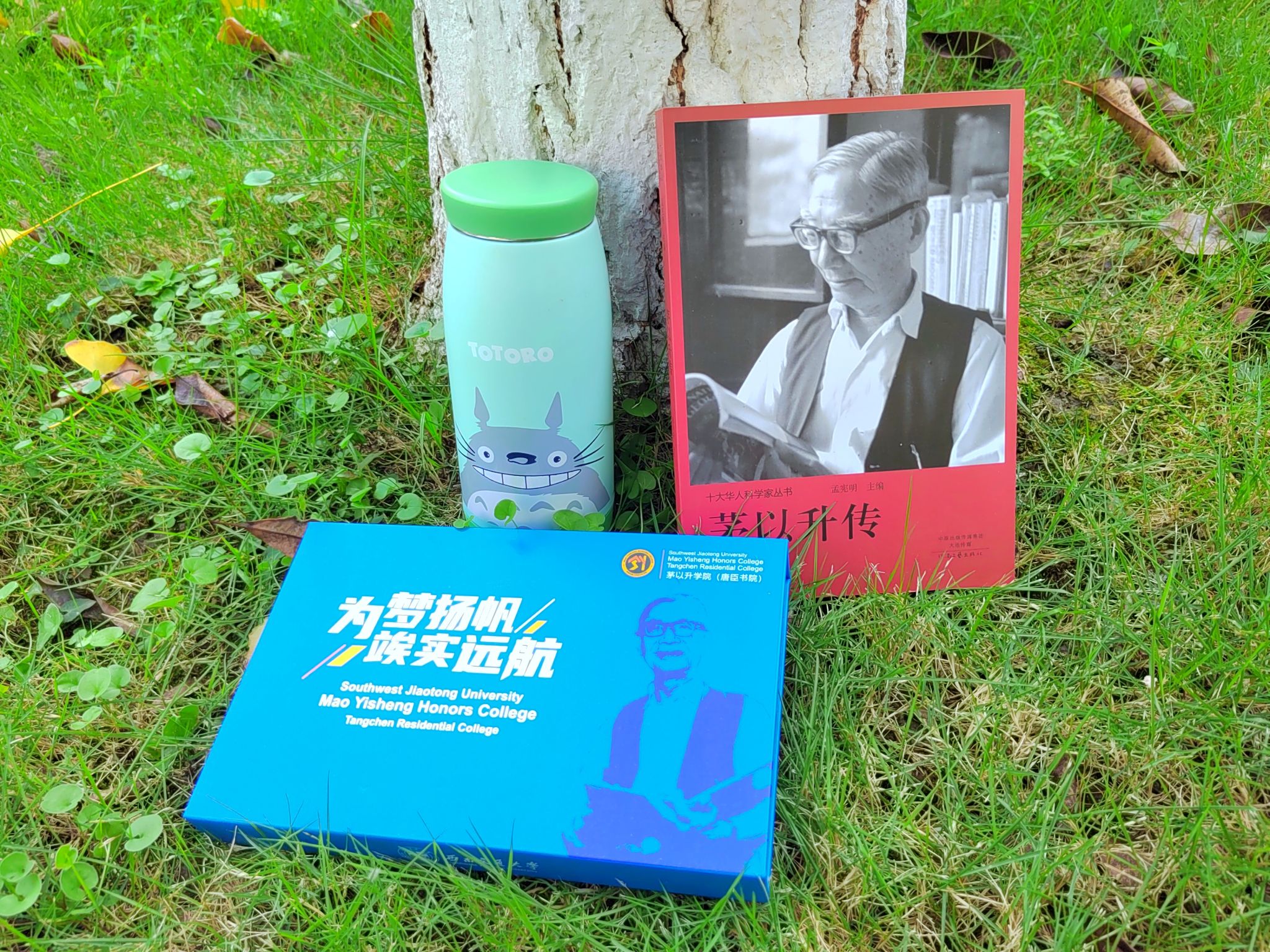 麻豆传媒