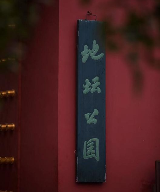 麻豆传媒
