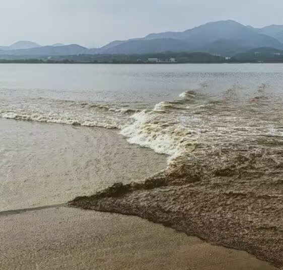 麻豆传媒