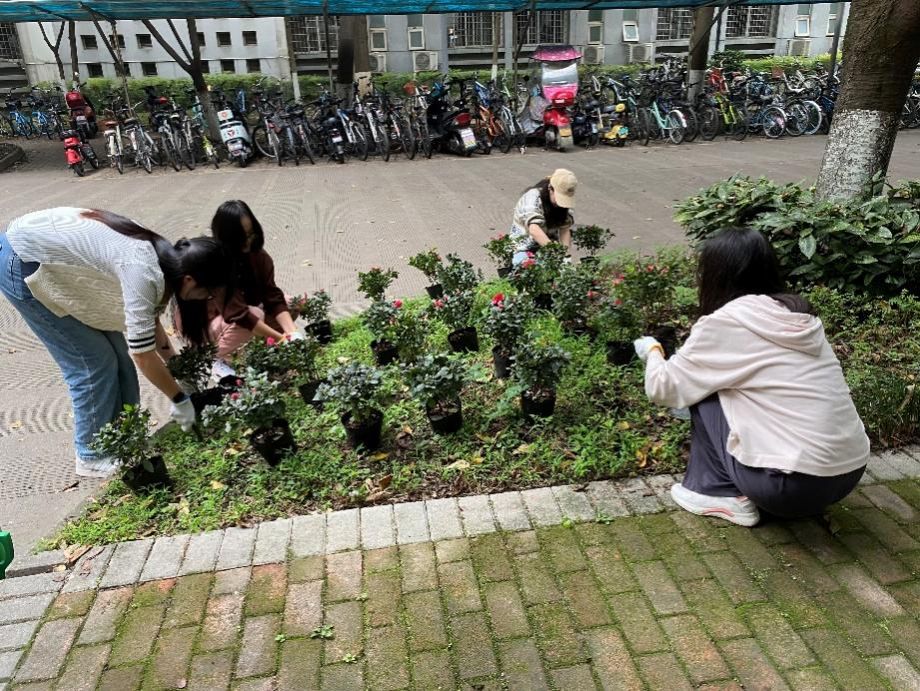 麻豆传媒