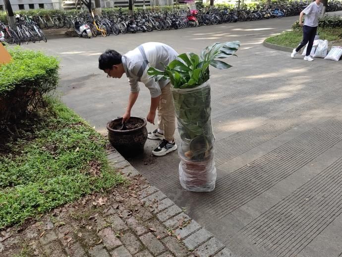 麻豆传媒