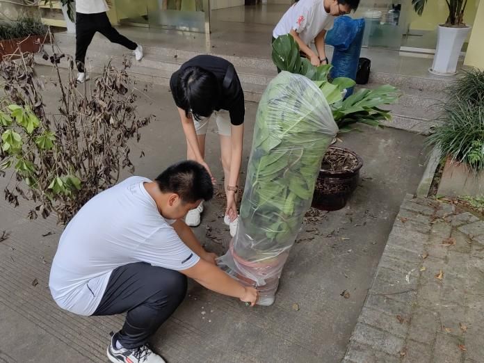 麻豆传媒