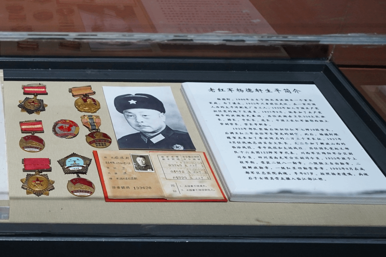 麻豆传媒