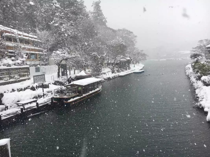 麻豆传媒