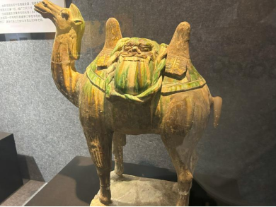 麻豆传媒