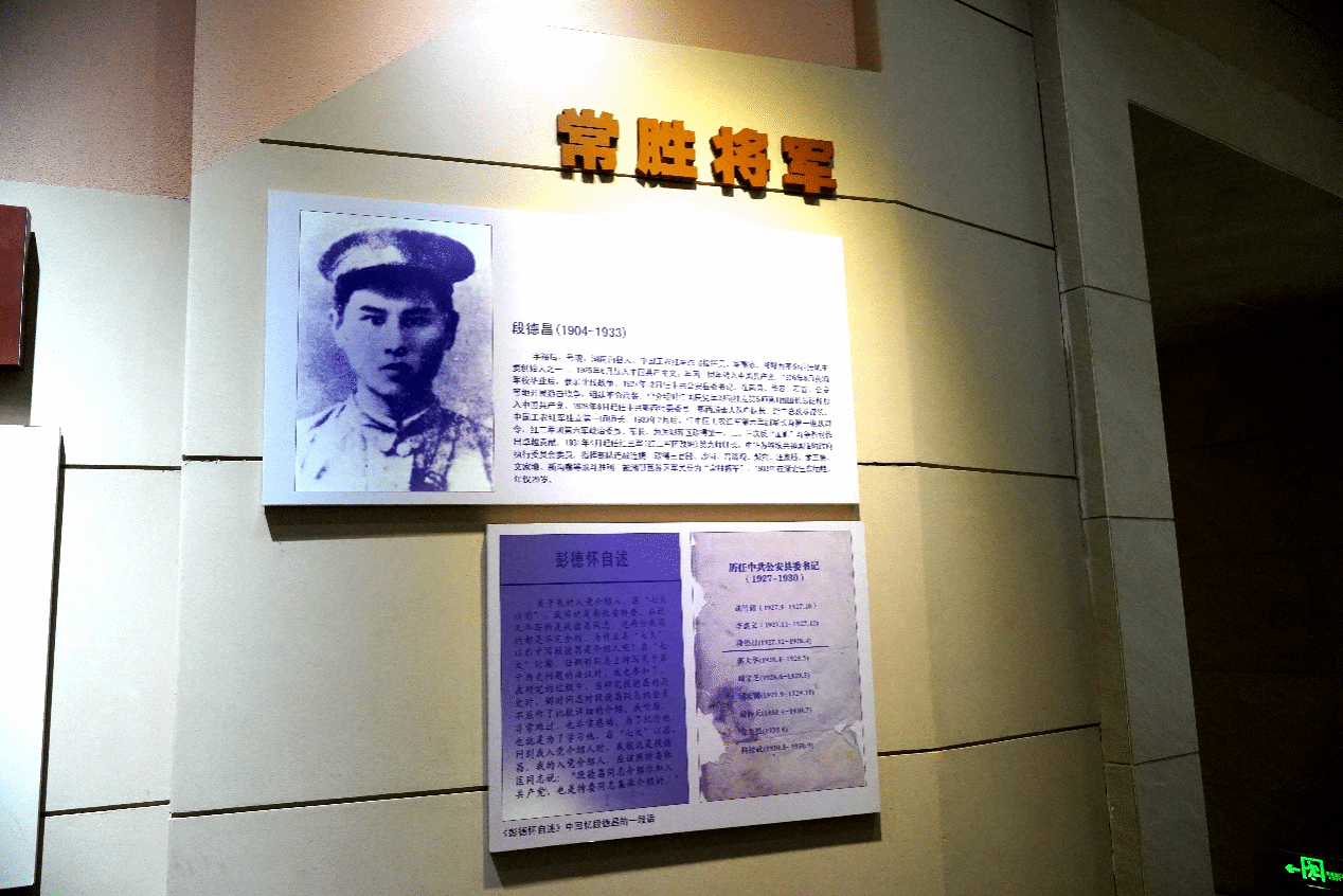 麻豆传媒